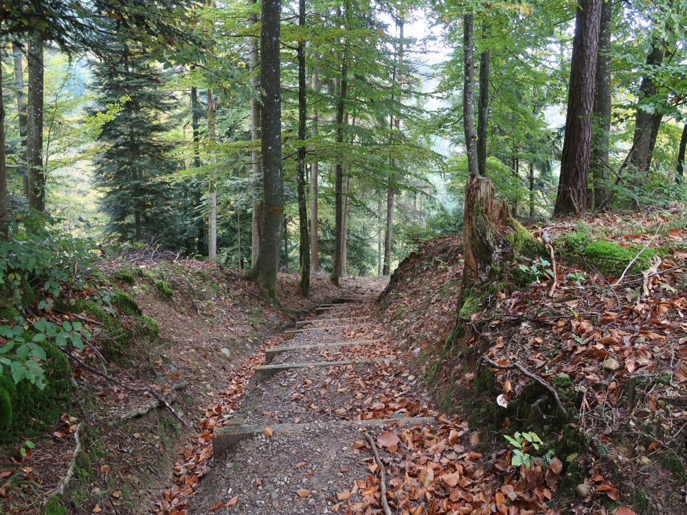 Treppe im Hohlweg