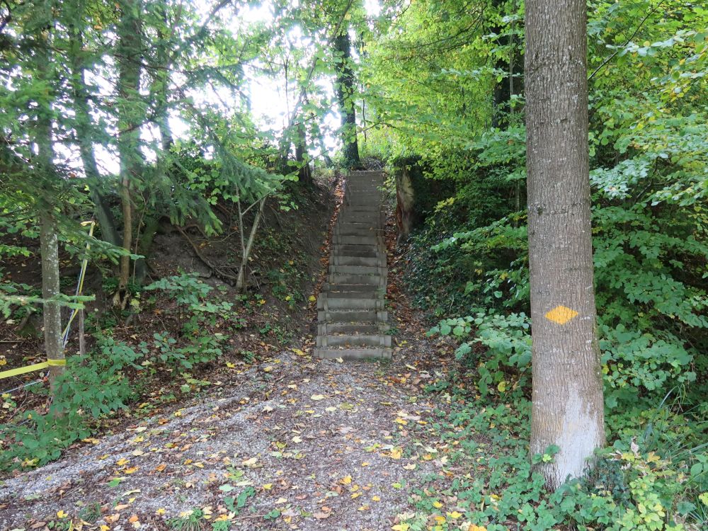 Treppe am Lobenstelbach