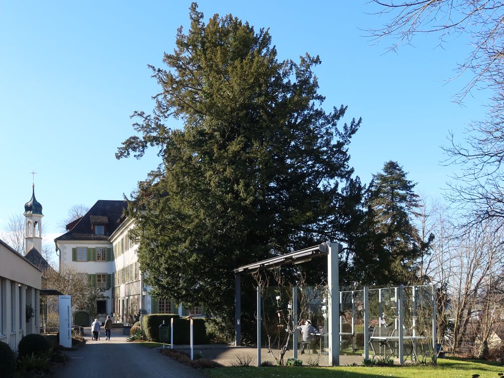Schloss Eppishausen