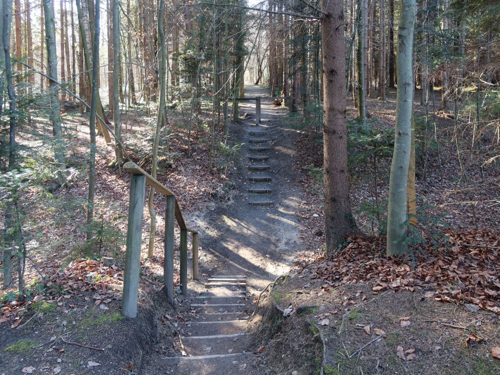 Treppe bei Burgstelle Biessenhofen