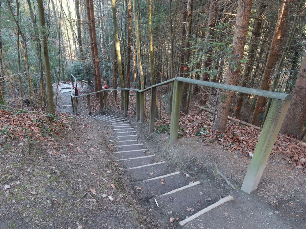 Treppe bei Burgstelle Biessenhofen