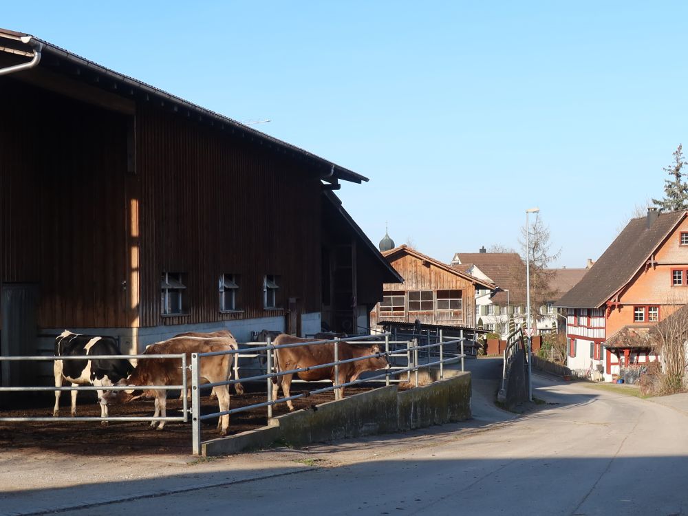 Kuhstall im Oberdorf