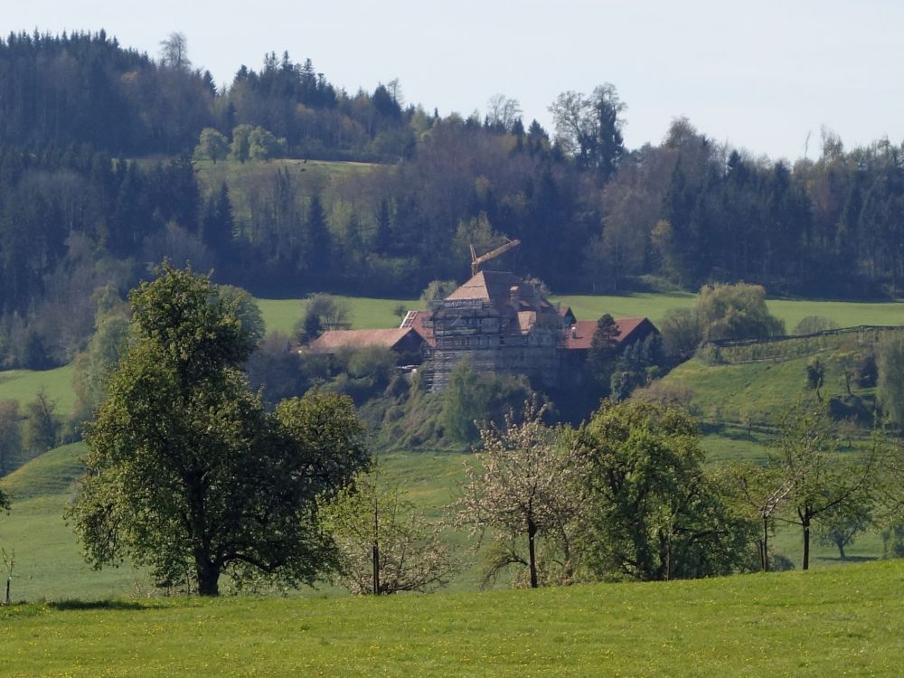 Schloss bei Zuckenriet