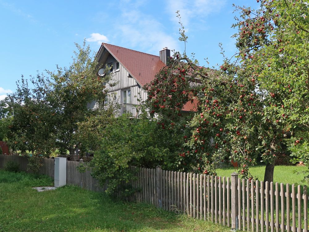 Holzhaus und Apfelbäume