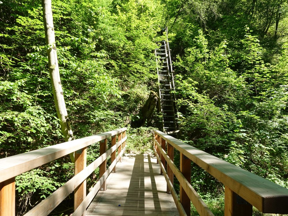 steile Treppe und Brücke übers Schleifebächle