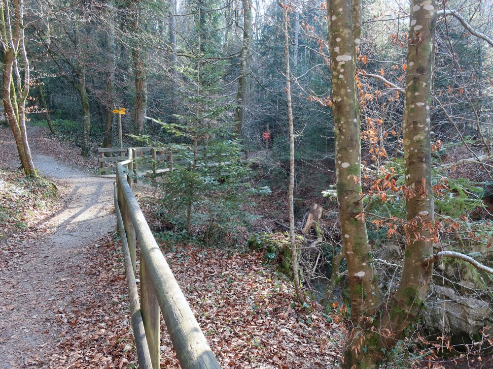 Holzsteg überm Schollenholzbach