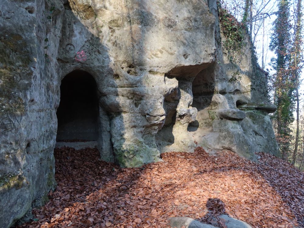 Höhlen am Blumenstein