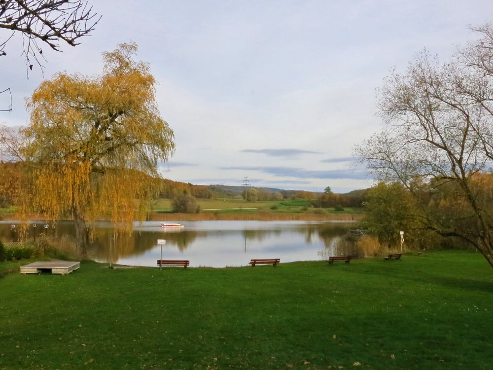 Liegewiese Böhringer See