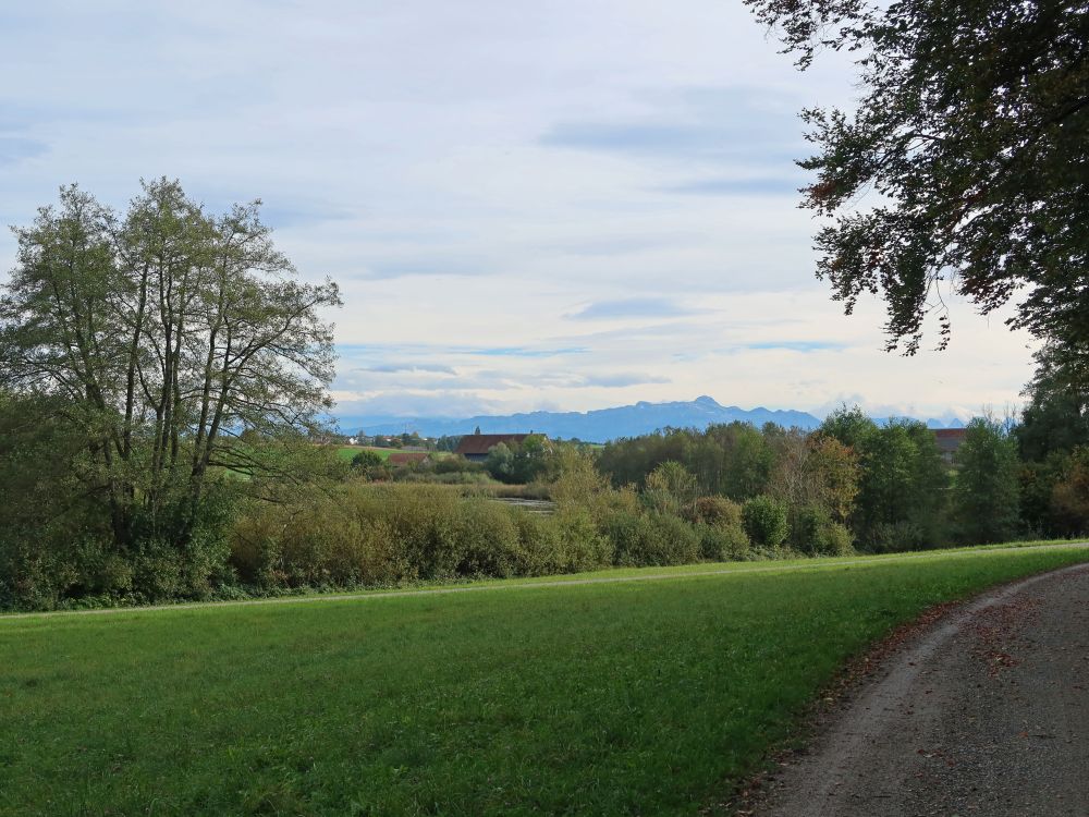 Blick Richtung Säntis