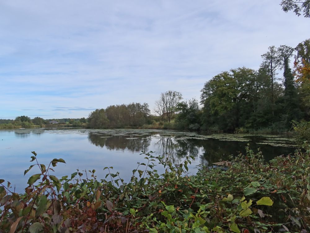 Obere Bommerweiher