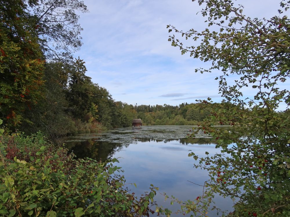 Obere Bommerweiher