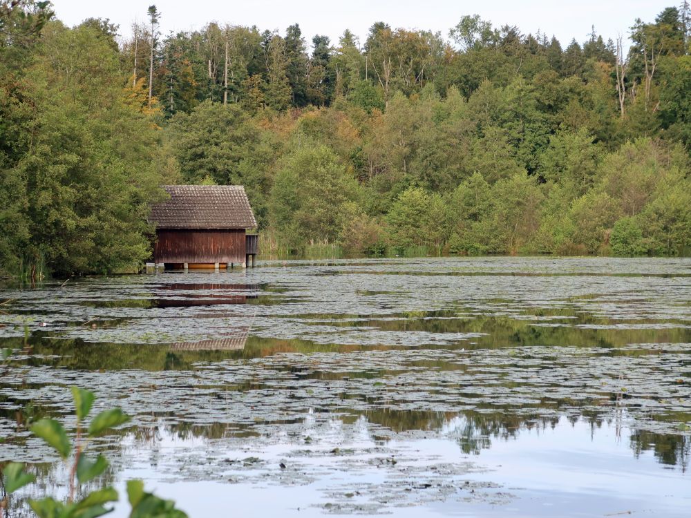 Obere Bommerweiher