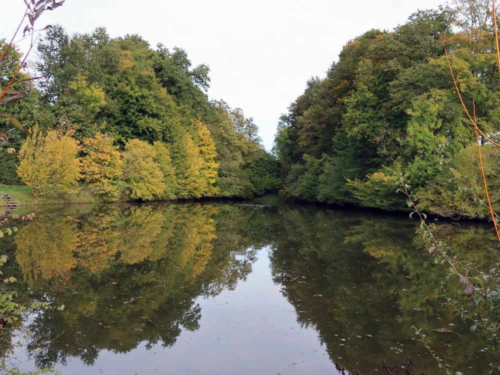 Fischweiher