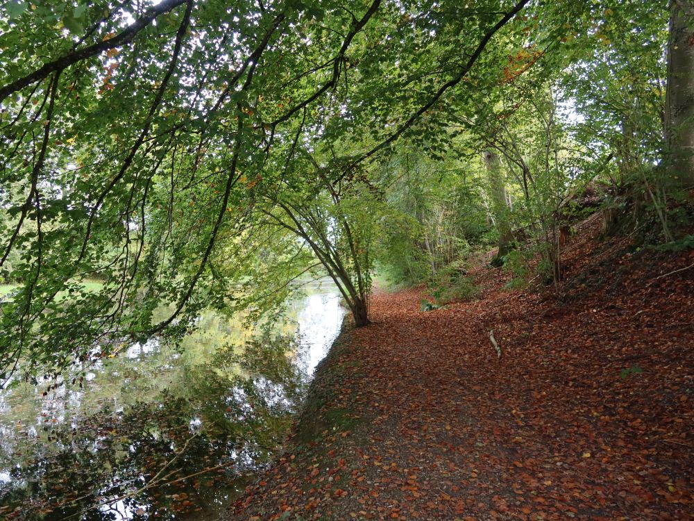 Fischweiher