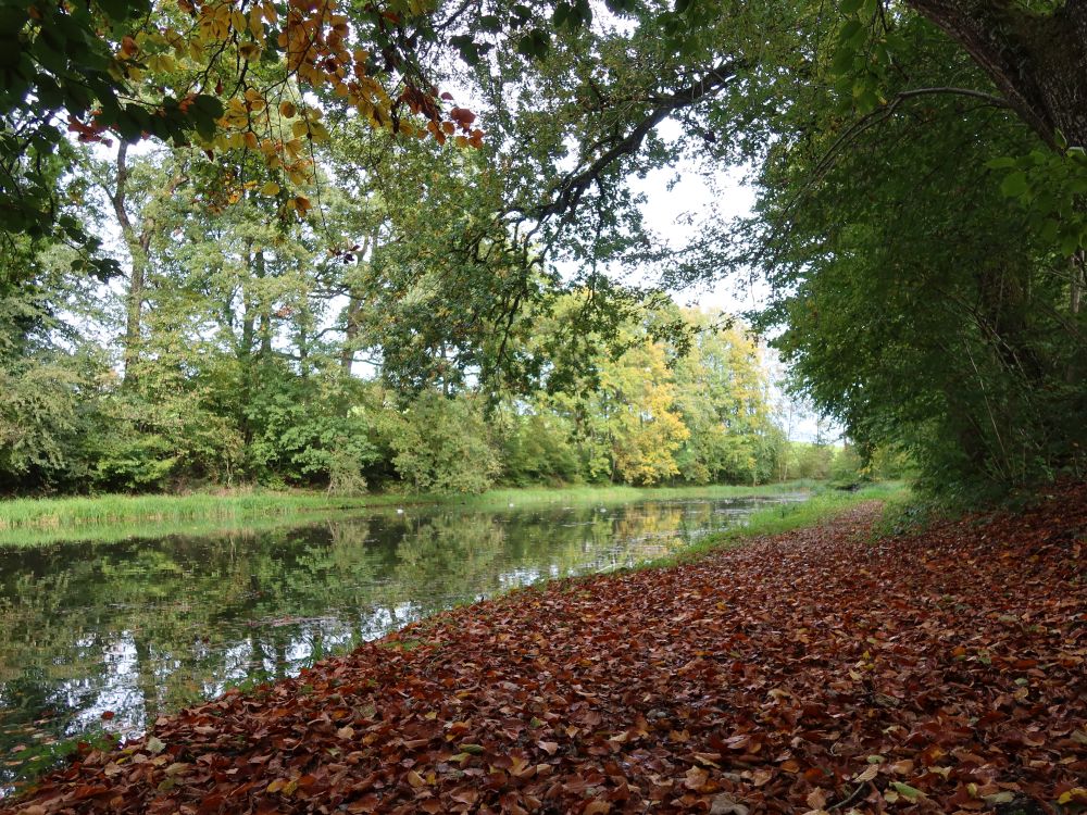 Fischweiher