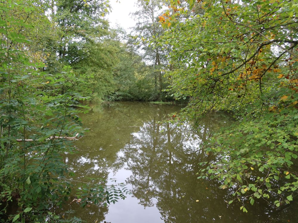 Fischweiher