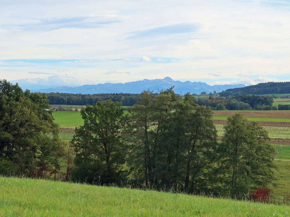 Säntisblick