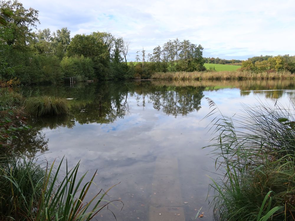 Untere Bommerweiher