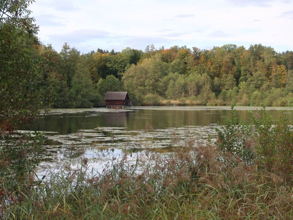 Obere Bommerweiher