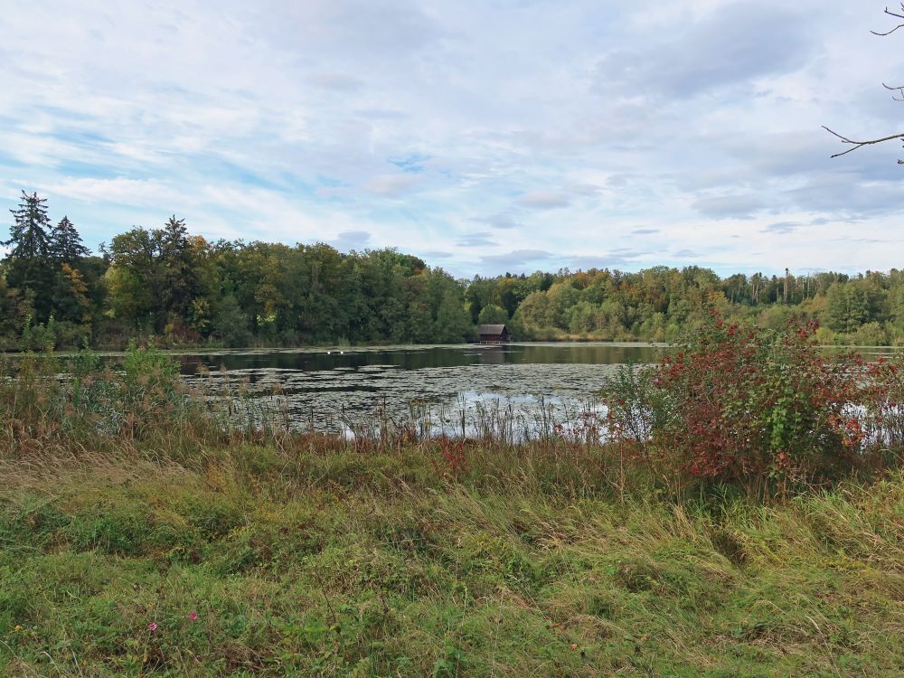 Obere Bommerweiher