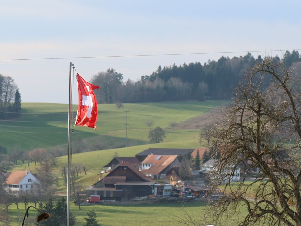 Schweizer Flagge und Häuser von Hittingen