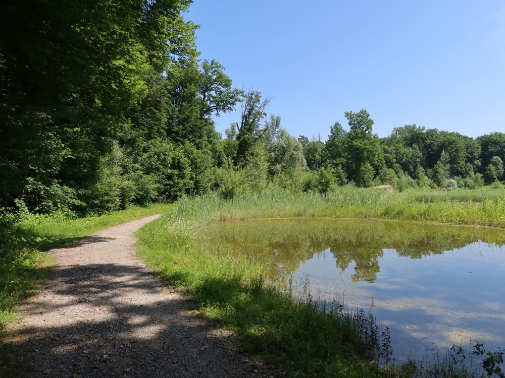Hegnauer Weiher
