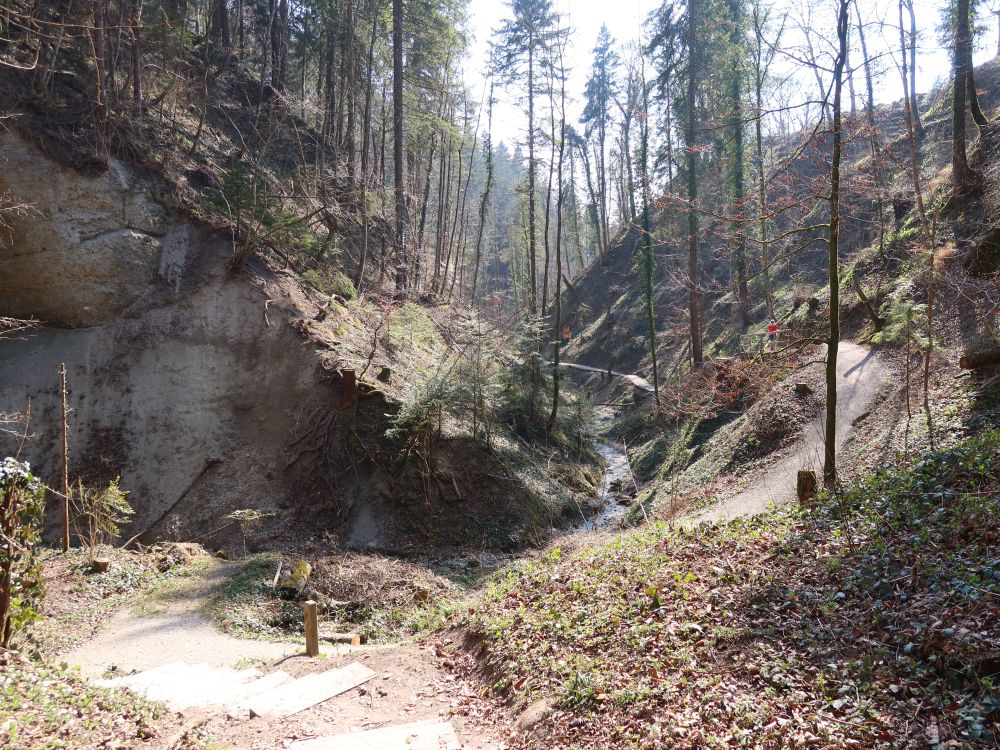 Wege und Sonnentaler Dorfbach am Hohlen Stein
