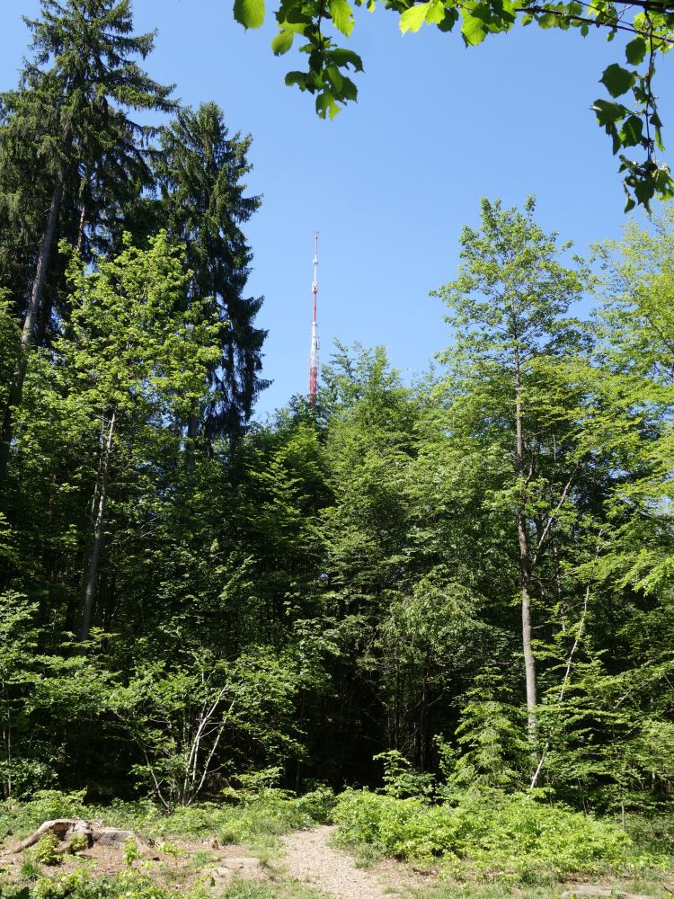 Brüelberg mit Funkturm
