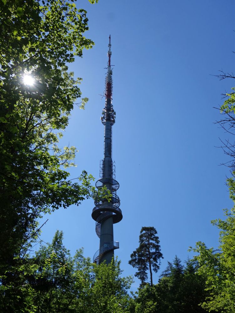 Brüelbergturm