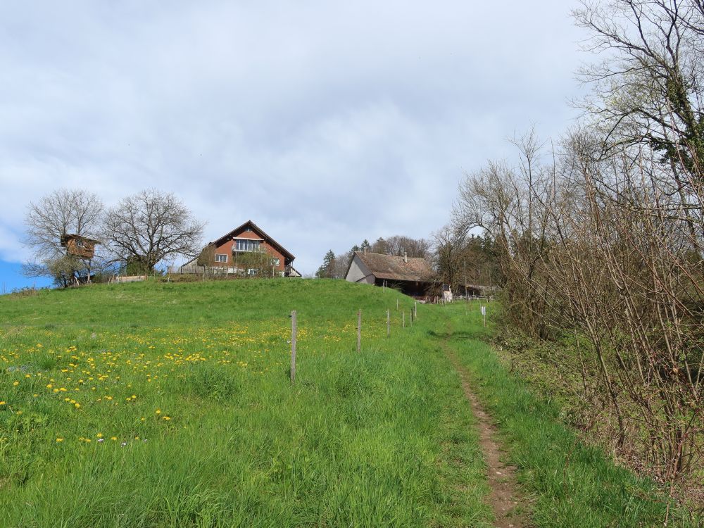 Bauernhof Obholz