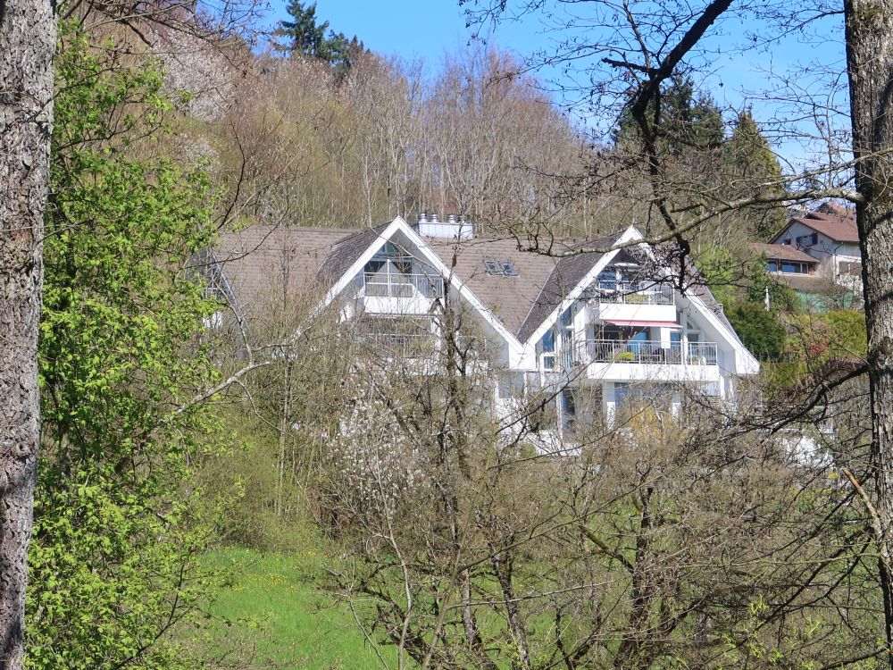 Haus bei Birchwil
