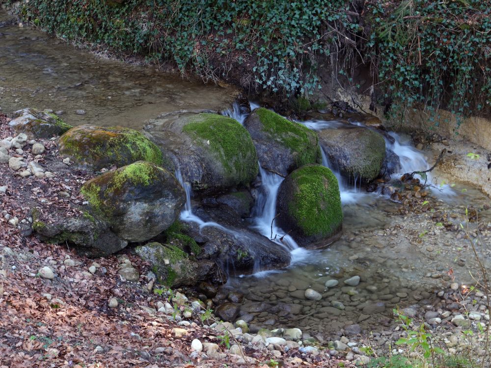 kleiner Wasserfall am Altbach