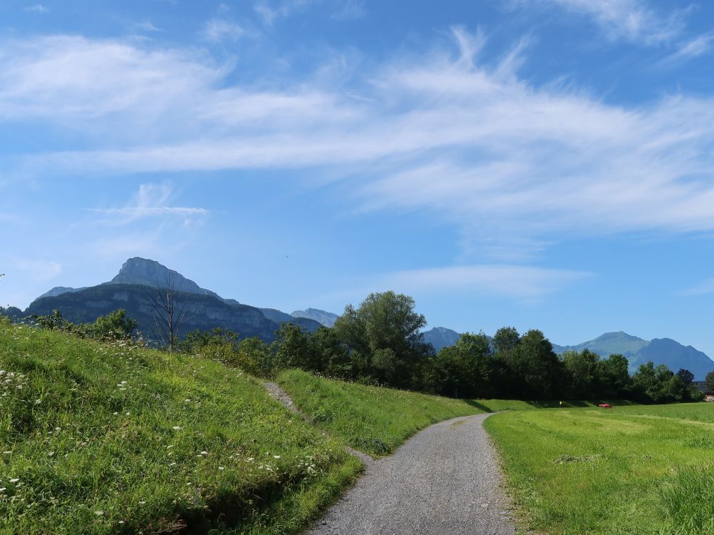 Niderbauen und Buochserhorn