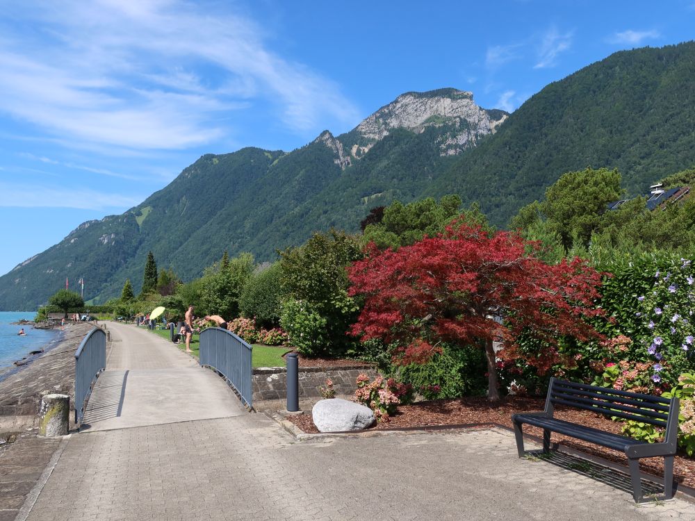 Uferpromenade und Rigi Hochflue