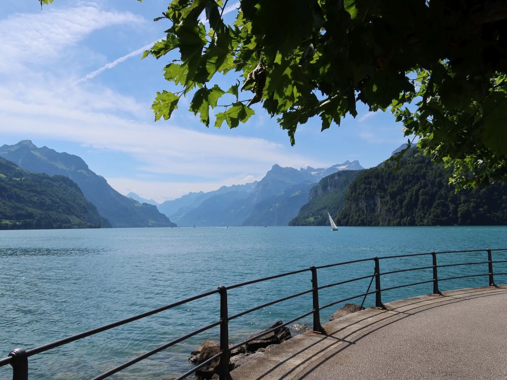 Blick Richtung Gitschen und Urirotstock