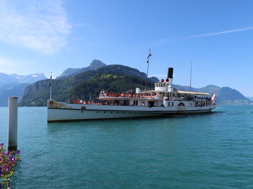 Dampfschiff und Seelisberg