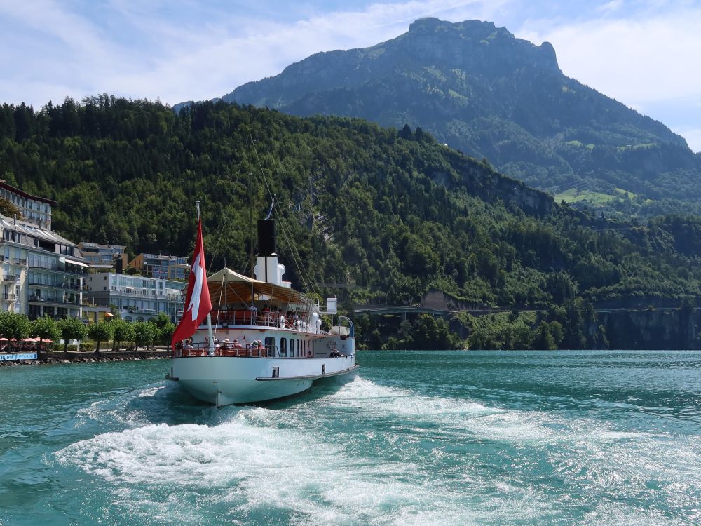 Dampfschiff und Fronalpstock