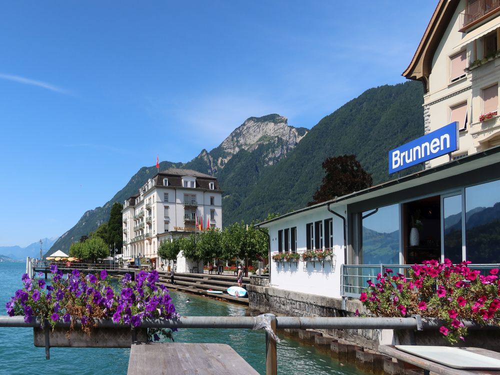 Waldstätterhof und Rigi Hochflue