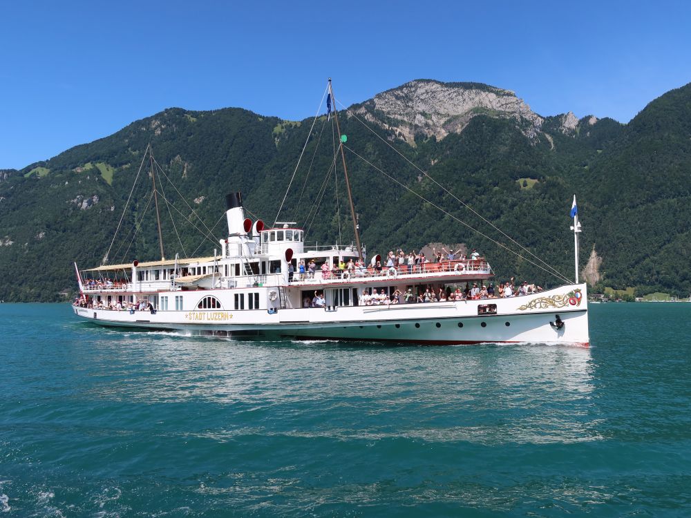 Dampfschiff und Rigi Hochflue