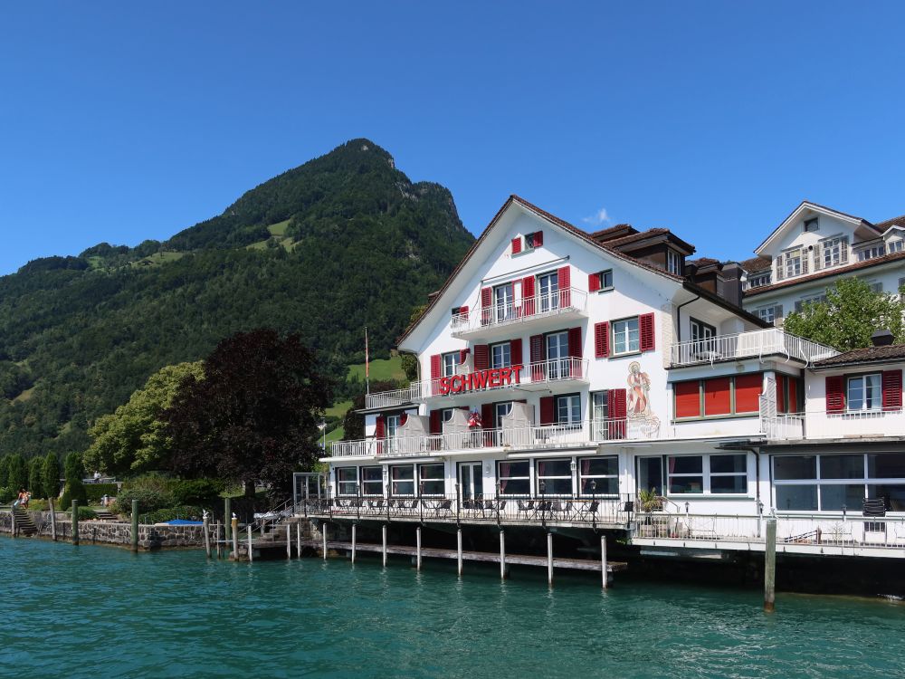 Seehotel Schwert und Vitznauerstock