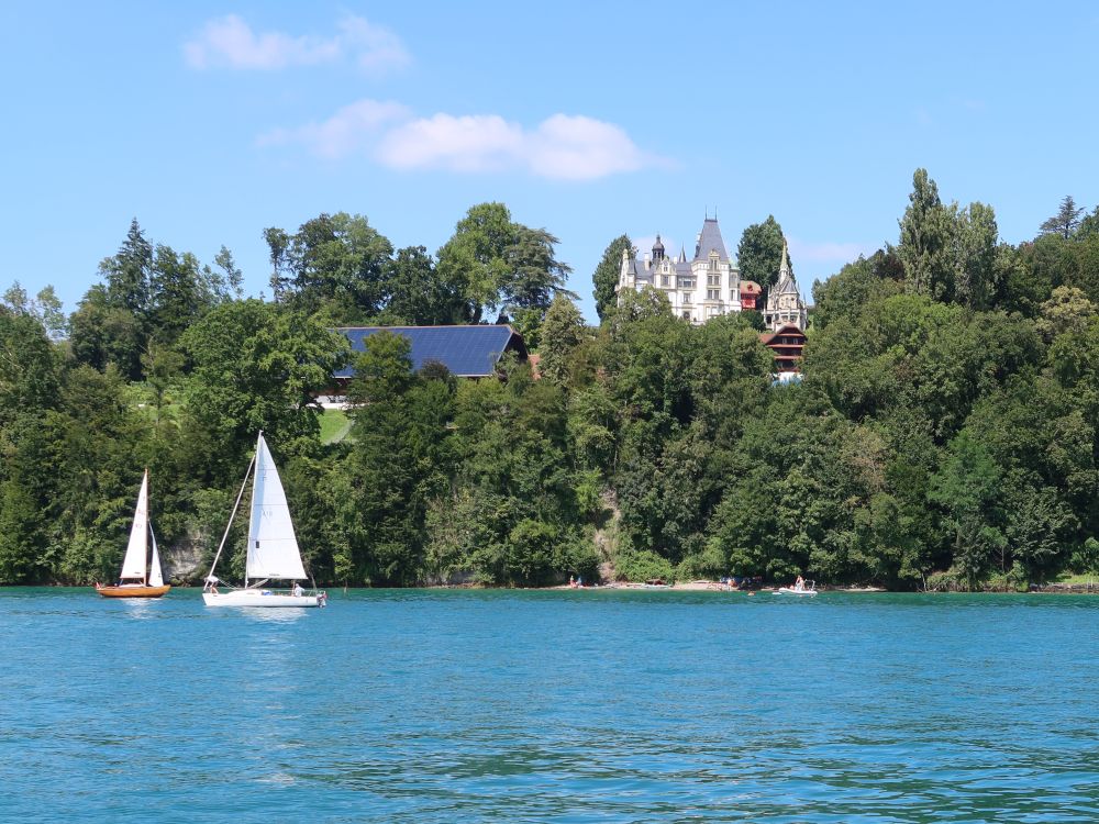 Schloss Meggenhorn