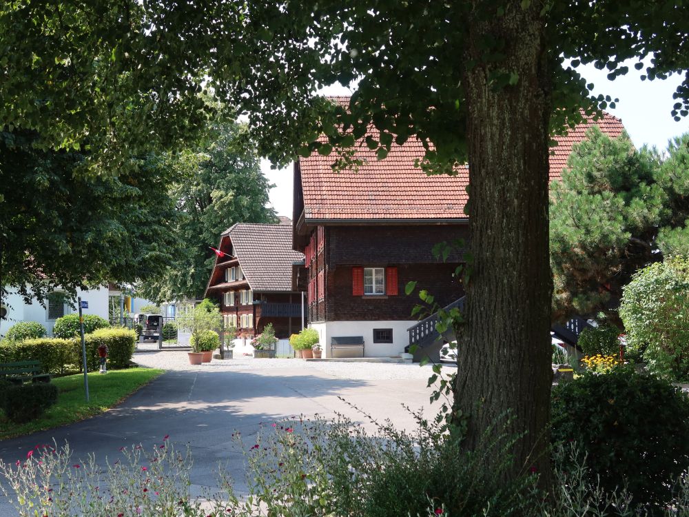Häuser in Buchrain