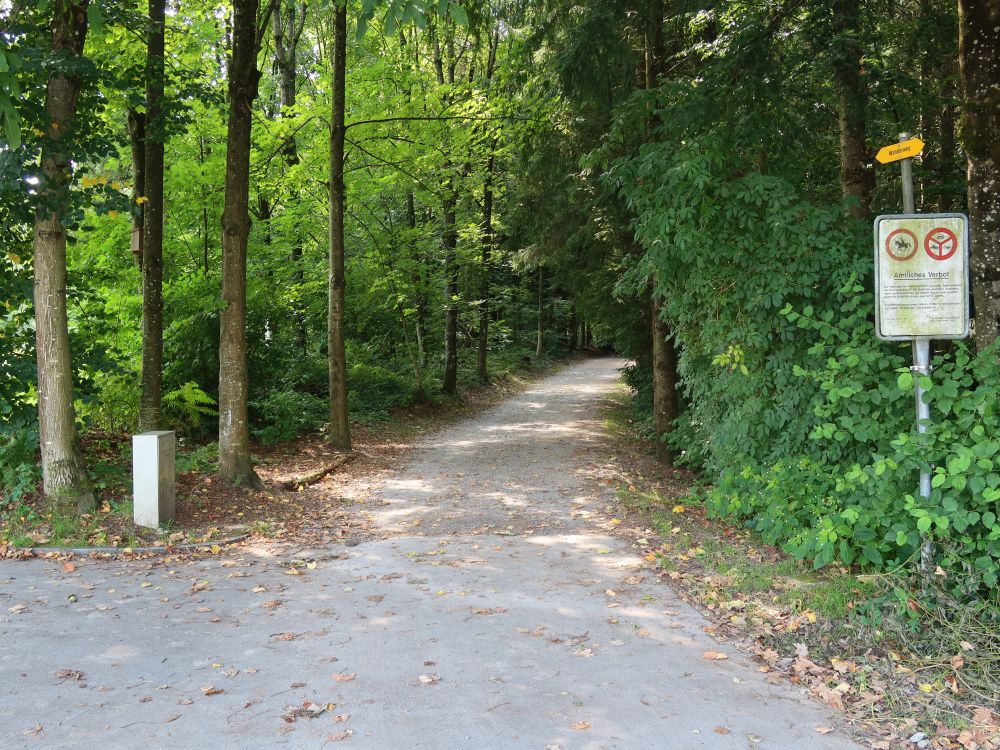 Waldweg