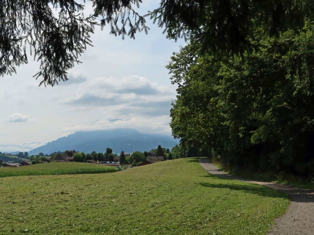Weg am Waldrand und Pilatus in Wolken