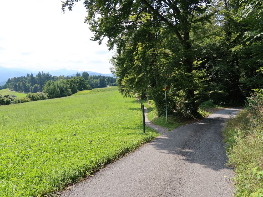 Wegabzweig
