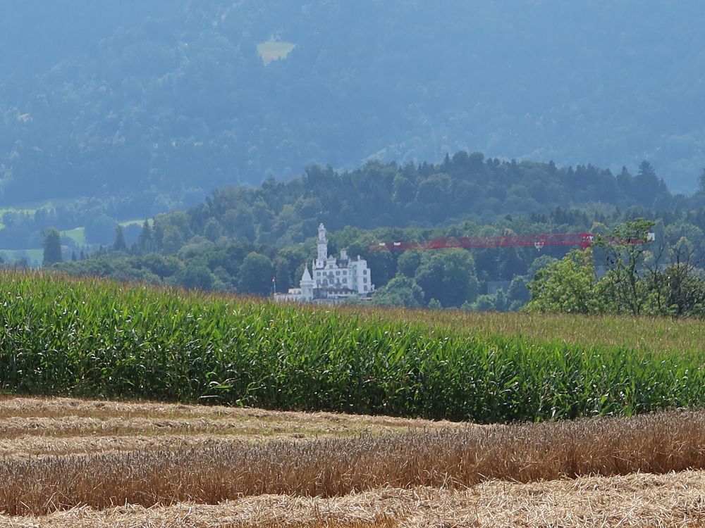 Chateau Gütsch