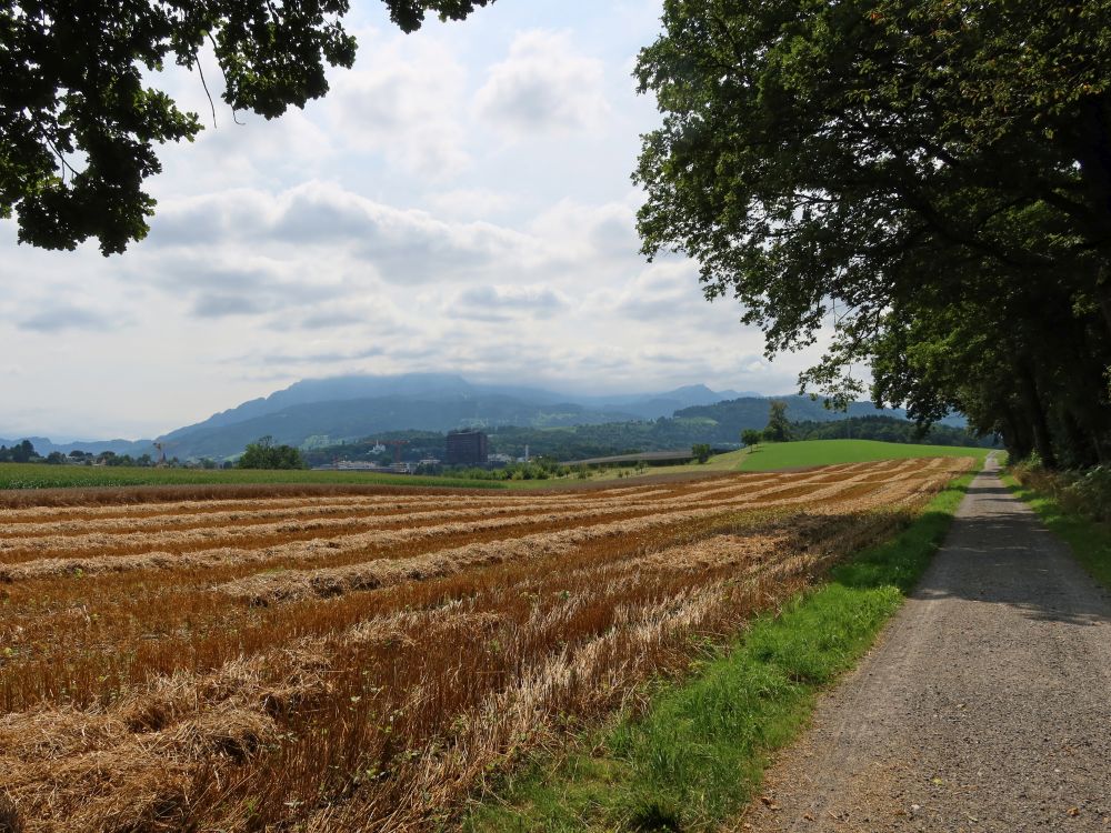 Stoppelfeld und Pilatus in Wolken
