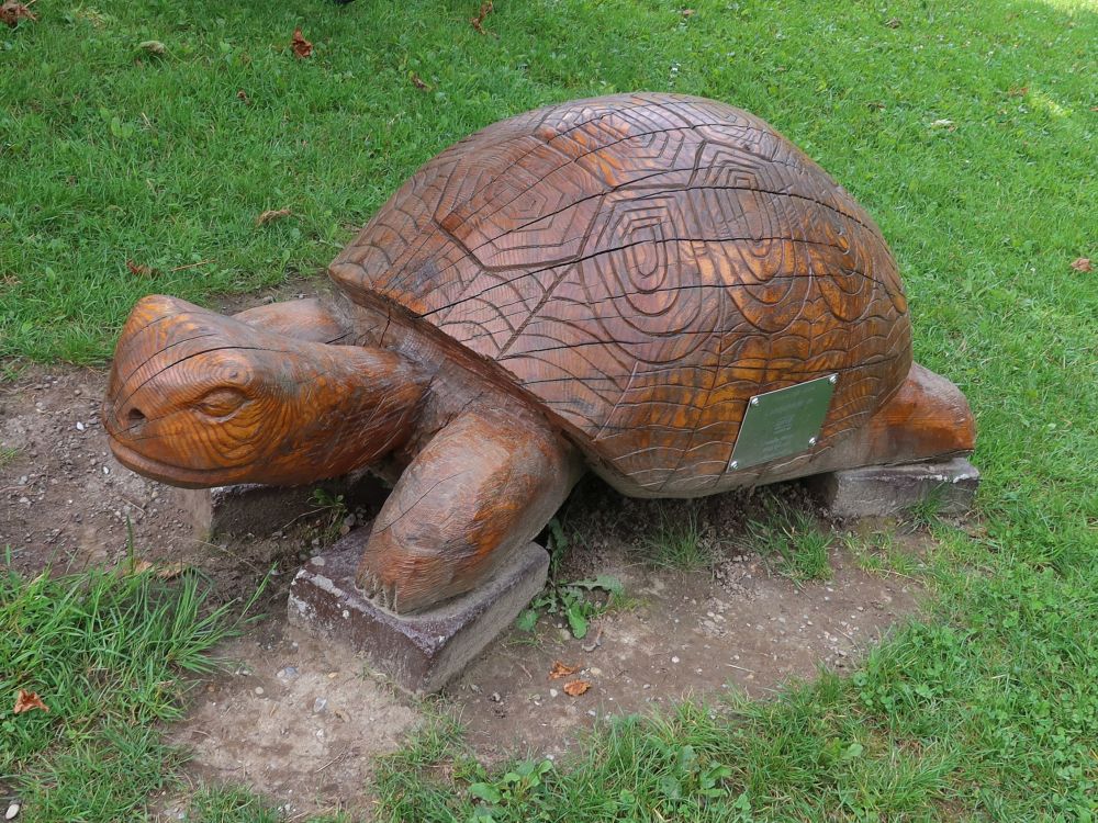 Skulptur Schildkröte