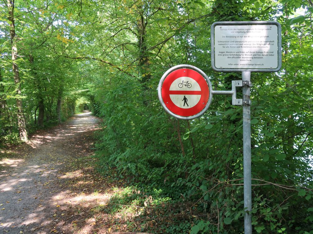 Schildwaldgalopp-Piste