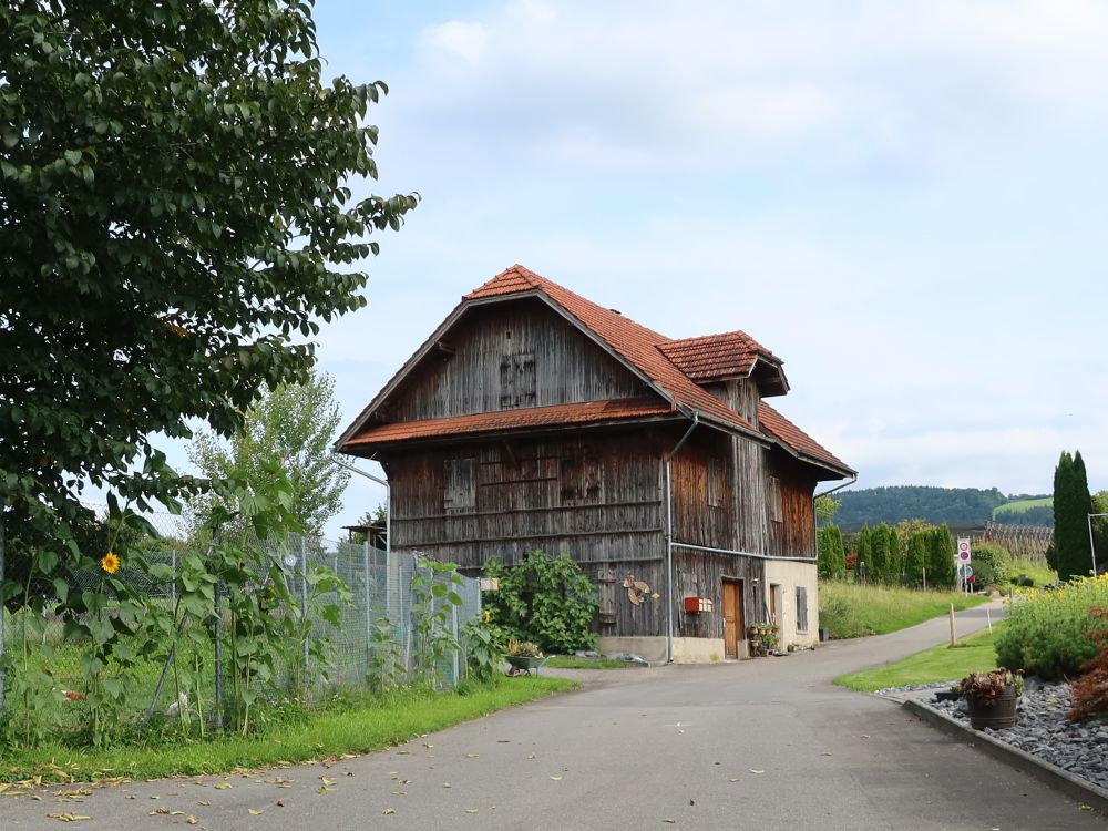 Haus in Buchrain-Altweg